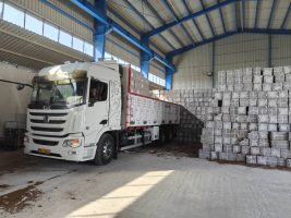 WhatsApp Image 2025-10-15 at 00.28.58_4c3dc959