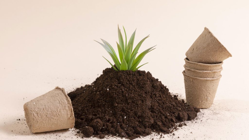 کوکوپیت چیست؟ + کاربرد، مزایا و قیمت خرید کوکوپیت